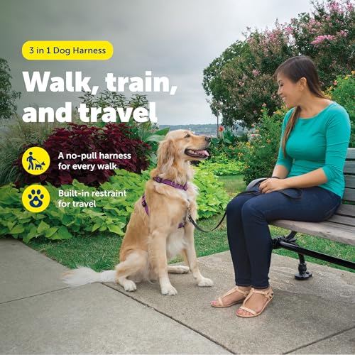 Easy Walk 3 in 1 No Pull Dog Harness (Plum / Large (Pack of 1))