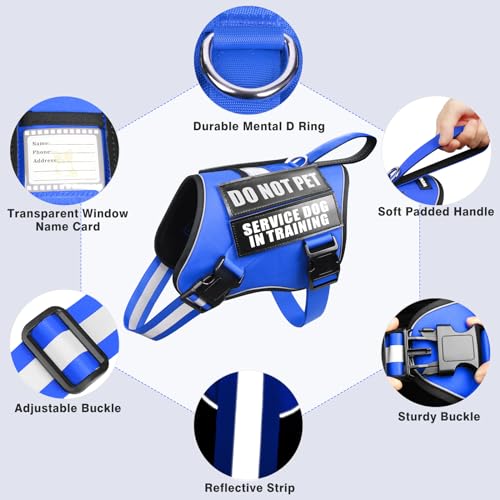 Service Dog Harness and Leash Set (X-Small / Blue)