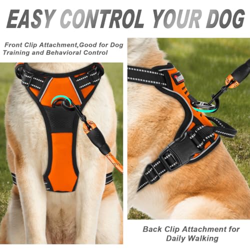 Dog Harness No Pull for Small Sized Dog Front Back Clips (Small(Chest:19.5-26") / Orange)