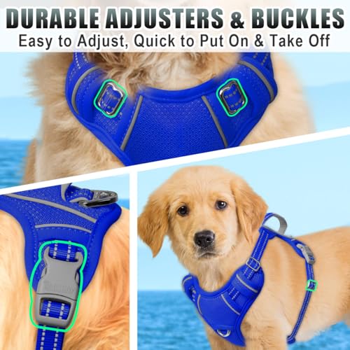 Dog Harness for Small Sized Dog No Pull Dog Vest ID Tag Pocket (Sapphire Blue / Small)