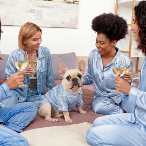 Dog Silk Pajamas Shirts Puppy Satin Pjs Pet Sleepwear Soft Faux Silk Lapel Two (M / Blue)