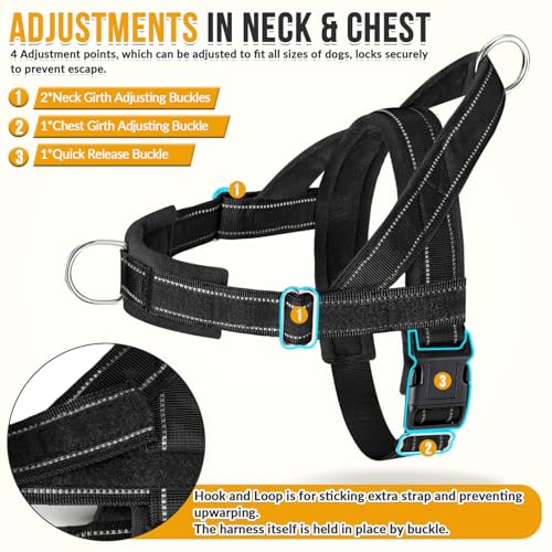 No Pull Dog Harness and Leash Set (Black / Large)
