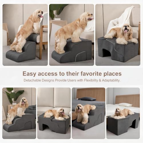 Dog Stairs with Tunnel