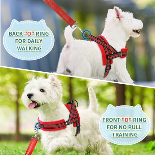No Pull Small Dog Harness and Leash Set with Front Clip (X-Small / Red)