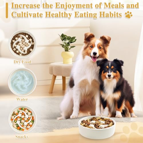 Ceramic Slow Feeder Dog Bowls (Beige-M)