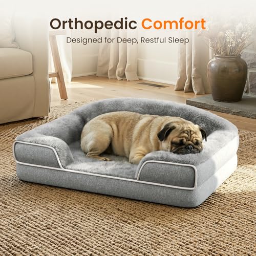 Orthopedic Dog Bed for Small to Medium Dogs (Light Grey / 30.0"L x 20.0"W x 6.5"Th)