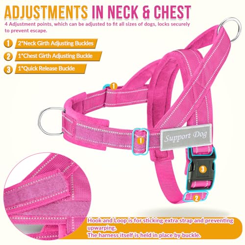 No Pull Dog Harness and Leash Set (Fuchsia / Large)