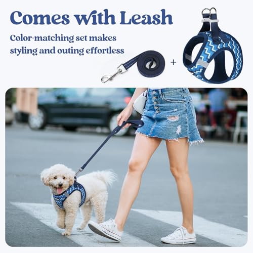 Dog Harness Medium Sized and Leash Set (Blue Zigzag / M (chest: 16 - 18.5"))