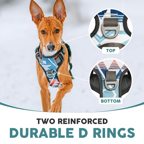 Embark No Pull Dog Harness (XL / Santa Monica)