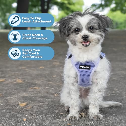 Voyager Step in Flex Adjustable Dog Harness (Harness (Lavender) / XL)