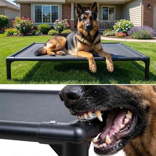 Elevated Dog Bed Waterproof Outdoor (XXL (56"L x 37.5"W x 9"H) / Grey)