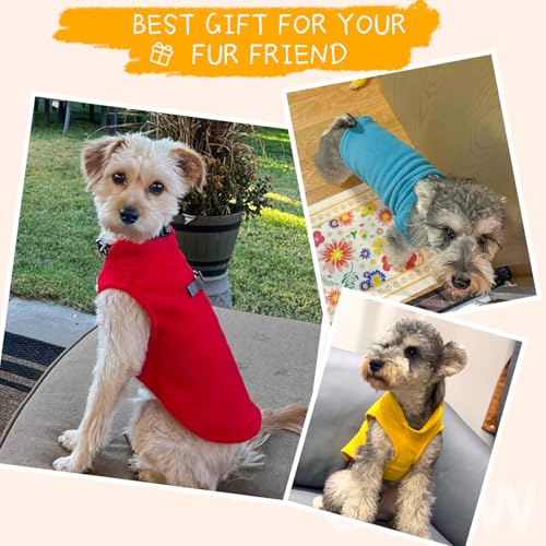 Dog Fleece Vest Sweater Winter Jacket for Small Medium Dogs (Medium / Blue)