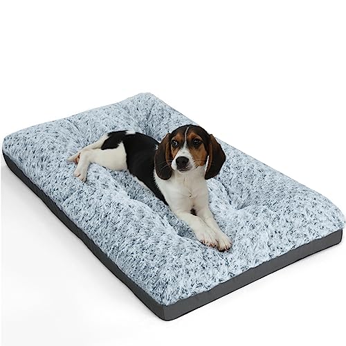 Deluxe Washable Dog Bed for Small Dogs Dog Crate Mat 23 Inch Comfy Fluffy Kennel Pad Anti (23.0"L x 17.0"W x 3.5"Th / Grey)
