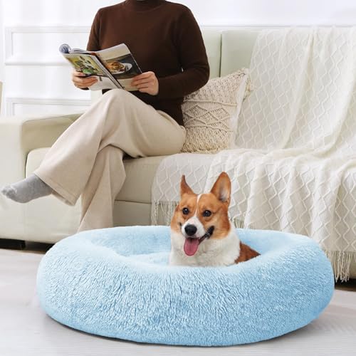 Dog Beds Large Sized Dog (36" / Light Blue)