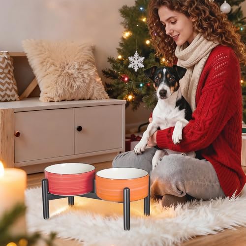 Ceramic Elevated Dog Bowl Set (Thread red+green / 3.5 Cups)