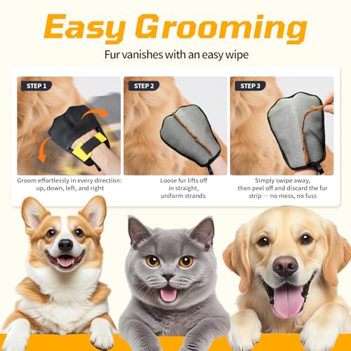 Pet Hair Remover 3 (Blue With Black)
