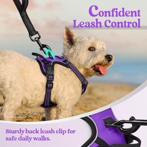 Dog Harness No Pull with 2 Leash Clips (X-Small / Purple)