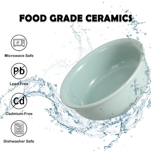 Ceramic Elevated Dog Bowl Set (Green / S × 2)