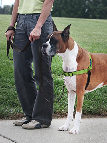 Easy Walk Deluxe Dog Harness (Large / Apple Green)