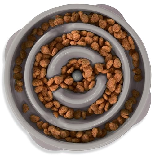 Fun Feeder Slo Bowl Dog Slow Feeder (Gray / Medium)