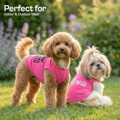 2 Pack Dog Shirts (Medium / Diva + Drama Queen)