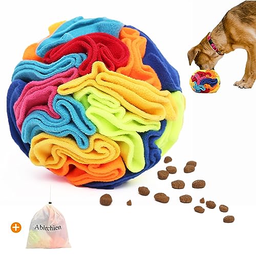 Snuffle Ball Snuffle Ball for Dogs (Rainbow Ball / Medium)
