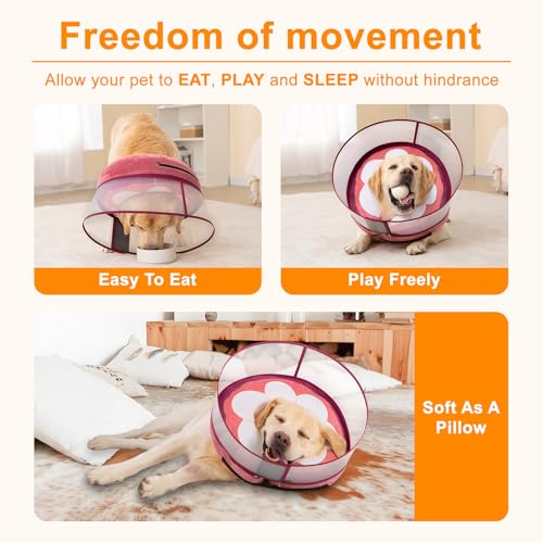 Inflatable Dog Cone Collar for Large Medium Small Dogs (Mangosteen / Medium)