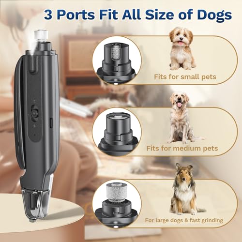 Pet Nail Clipper with Light (Black)