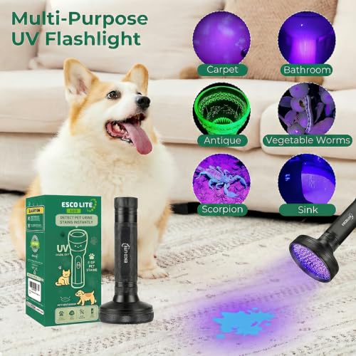 UV Flashlight Black Light (100 LED)