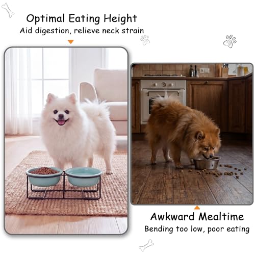 Ceramic Elevated Dog Bowl Set (Green / S × 2)