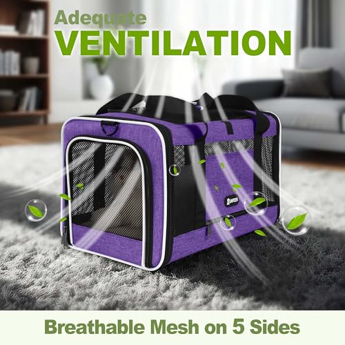 Pet Carrier for Cat 18x11x11 Inch (Purple / 18.0"L x 11.0"W x 11.0"H)