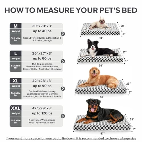 Dog Bed for Large Dogs (XL (42x28) / Grey)