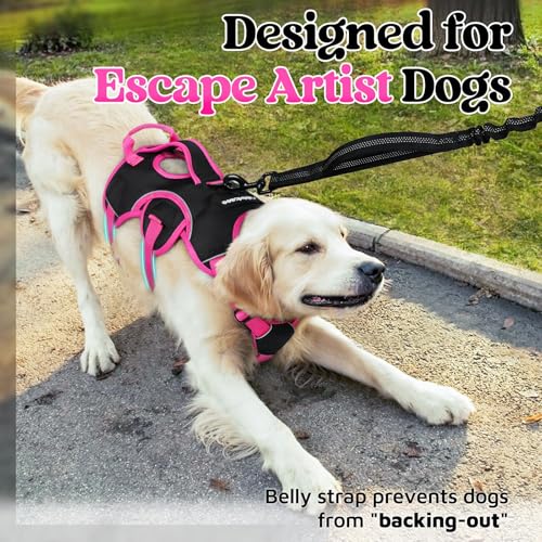 Escape Proof Dog Harness for Large (Rose & Black / Large)