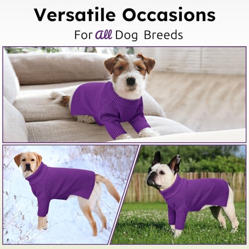Small Dog Sweater (Purple / Small)