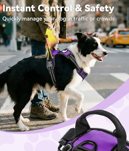 No Pull Dog Harness for Small Dogs (Small / Purple)