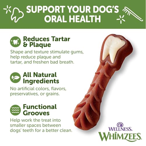 Wellness WHIMZEES Daily Brushzees Dog Dental Treats (7 Count (Pack of 1))