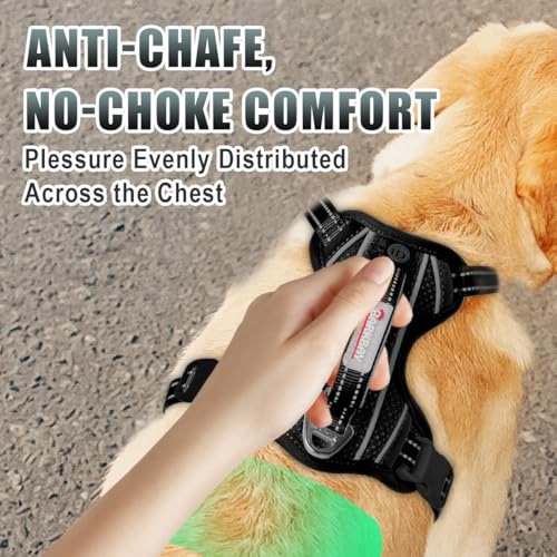 Dog Harness for Medium Sized Dog No Pull Dog Vest ID Tag Pocket (Black / Medium)