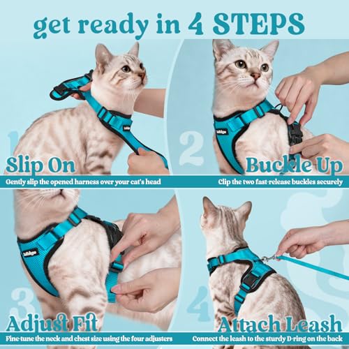 Cat Harness and Leash Set (Xs / Teal)