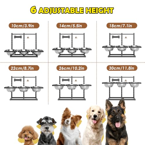 Elevated Dog Bowl Stand for Medium (Black & Blue & Red / Large Dogs)