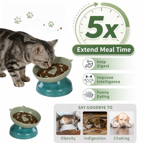 Ceramic Slow Feeder Cat Bowl (Green)