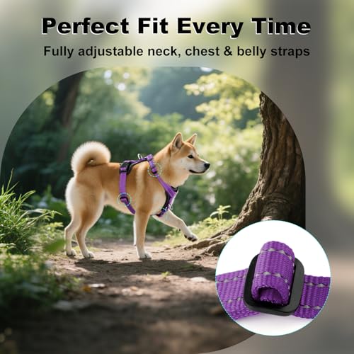 No Pull Dog Harness with Leather Accents (L / Purple)