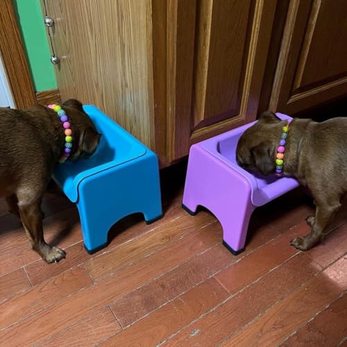 Elevated Slow Feeder Dog Bowls (Teal)