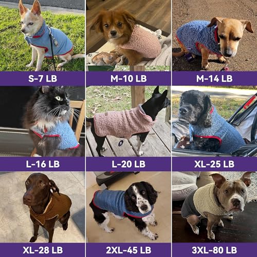 Sherpa Dog Coat Reversible Dog Jackets for Small Dogs (Medium (10-15lbs) / Rose Red)
