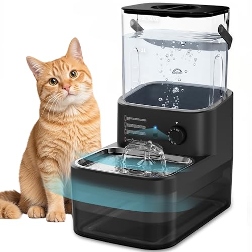 3L Filterless Cat Water Fountain (Black)