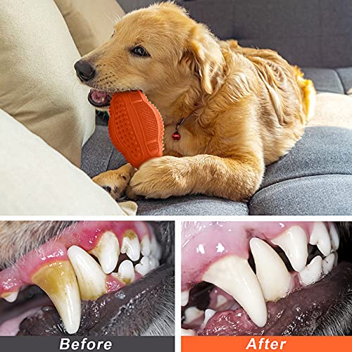 Dog Chew Toys 4 Pack (FourColors)