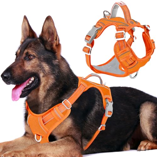 No Pull Dog Harness for Large Dogs (X-Large(Chest:30-38”) / Pumpkin-Oxford)