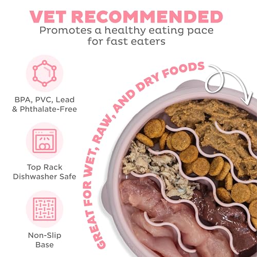 Fun Feeder Slo Bowl Dog Slow Feeder (Pink / Small)
