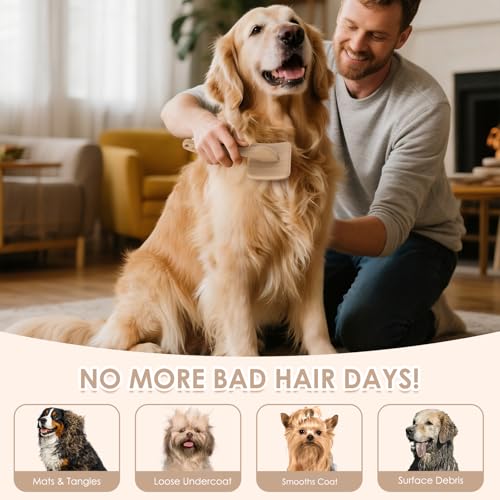 Large Dog 3 in 1 Grooming Kit (Natural)