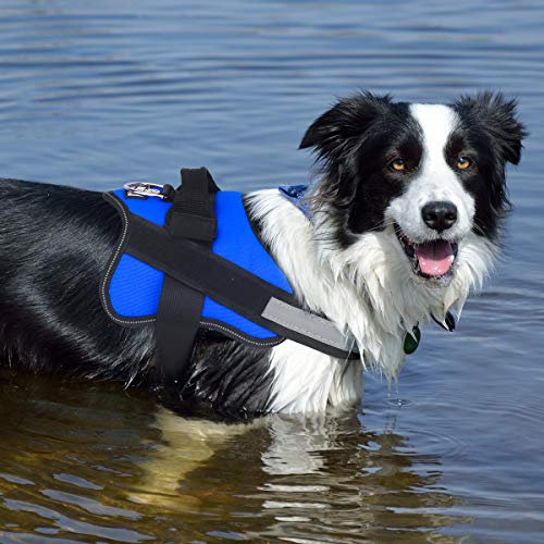 Dog Harness No (Large (Pack of 1) / Blue)