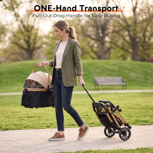 Dog Stroller for Small and Medium Dogs